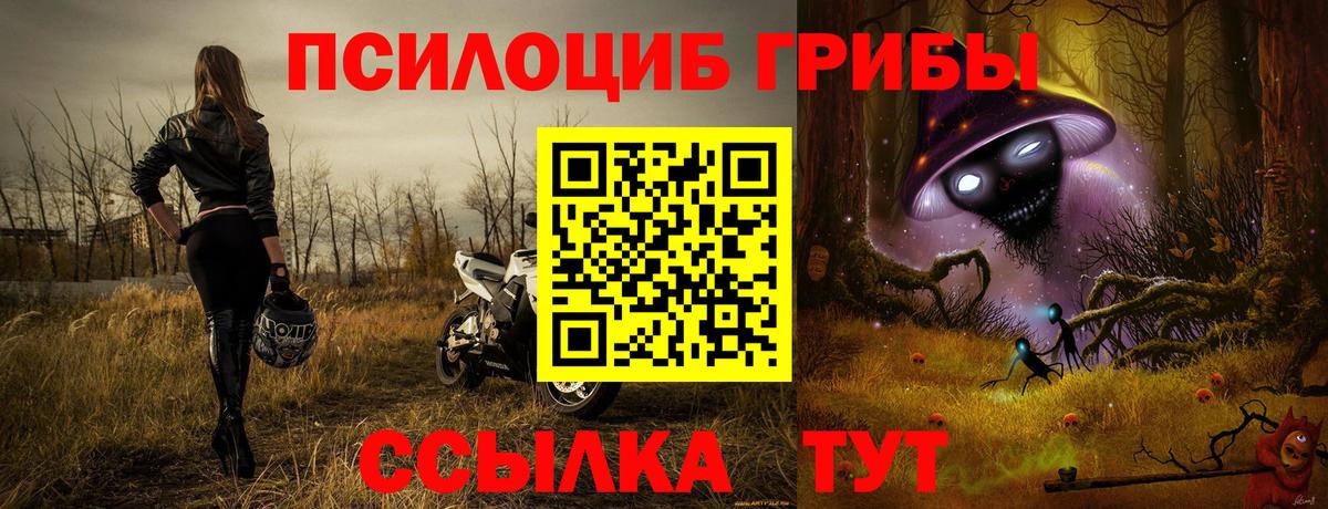 Кирово-Чепецк  Псилоцибиновые грибы Magic Shrooms  Псилоцибиновые грибы Magic Shrooms  Вход с VPN 