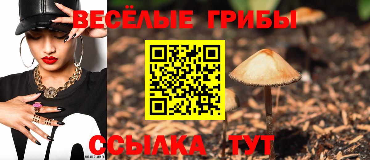 Псилоцибиновые грибы мицелий Кирово-Чепецк